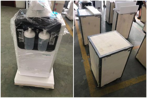 10 LMP High Purity Oxygen Concentrator 0.05MPA With Humidifier Bottle / Nebulization