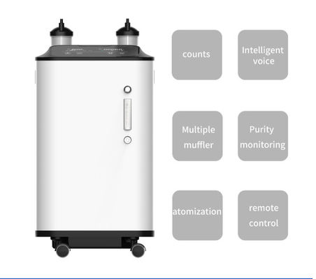 Up To 96% Household OEM Medical Oxygen Concentrator 10 Liter