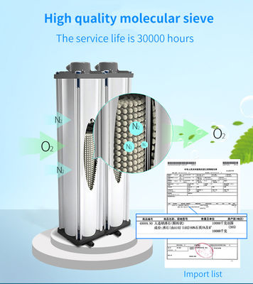 96% Purity 5L Molecular Sieve Oxygen Concentrator Equipment For Hospital Use