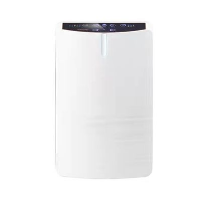 Smart Monitoring Portable Home Air Purifier 220V Negative Ion Commercial Air Purifier