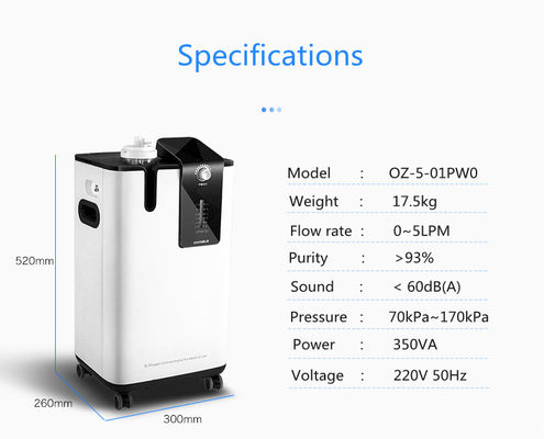 Healthcare Hospital 5 Lpm Oxygen Concentrator With Atomizer Accessories