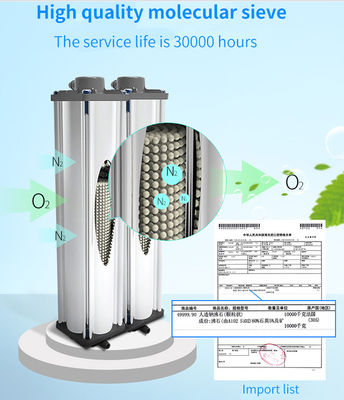 Dual Flow 10 Lpm Sgs Oxygen Concentrator 10 Liter