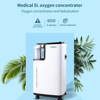German Oil Free Compressor EU Certified 5 liter portable oxygen concentrator