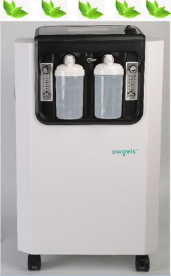 SGS Low Noise 96% High Purity High Flow 10 Liter O2 Concentrator Portable