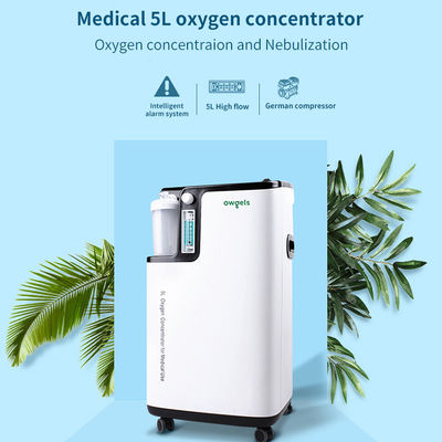 Portable 5L Medical Oxygen Concentrator Low Noise 96% High Purity